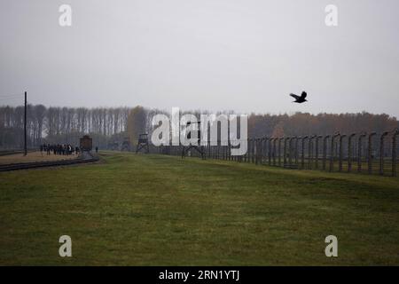 (150127) -- BRÜSSEL, 27. Januar 2015 -- Foto vom 9. November 2012 zeigt einen Vogel, der über den Stacheldrahtzaun des ehemaligen Konzentrationslagers Auschwitz in Oswiecim, Polen, fliegt. Die Feierlichkeiten zum 70. Jahrestag der Befreiung des Konzentrationslagers Auschwitz begannen am Dienstagmorgen in der polnischen Südstadt Oswiecim. Das Konzentrationslager wurde 1940 von den Deutschen hauptsächlich mit dem Ziel gegründet, polnische Gefangene zu inhaftieren. Seit 1942 wurde es zu einem der größten Orte jüdischer Vernichtung in Europa, wo mehr als 1,1 Millionen Menschen getötet wurden, darunter auch Polen, Rumänen und Sowjets Stockfoto