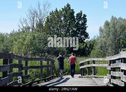 Clairmarais (Nordfrankreich): Zwei Personen, die auf einer hölzernen Fußgängerbrücke im Naturschutzgebiet Etangs du Romelaere in den Caps et Marais d'O spazieren Stockfoto