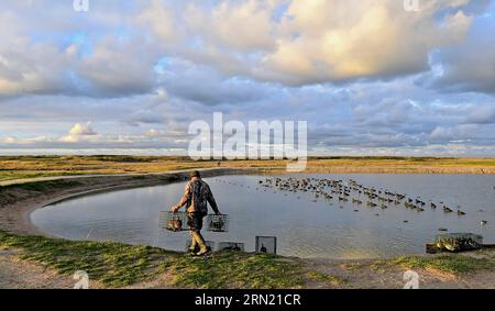 Entenjagd in Grand Fort Philippe (Nordfrankreich): Wasservogeljagd mit Mitgliedern der „ACCL Nord, Association des Chasseurs Cotiers du Littoral“ Stockfoto