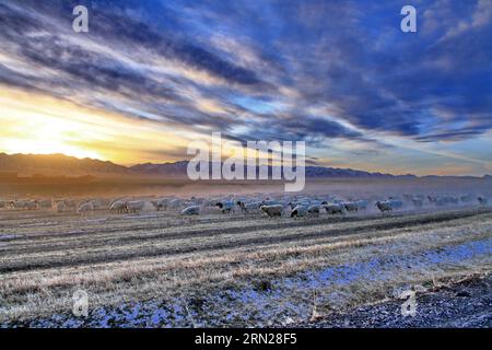 (150217) -- PEKING, 17. Februar 2015 -- Aktenfoto vom 27. November 2013 zeigt eine Ziegenherde in der Pferdefarm Shandan, Provinz Gansu im Nordwesten Chinas. Die Chinesen feiern am 19. Februar dieses Jahres das Mondneujahr, das das Jahr der Ziege auf dem chinesischen Tierkreiszeichen markiert. ) (lfj) CHINA-YEAR OF GOAT (CN) ChenxLi PUBLICATIONxNOTxINxCHN Peking 17. Februar 2015 Datei Foto aufgenommen AM 27 2013. November zeigt eine ZIEGENHERDE auf der Shandan Horse Farm Nordwest-China Provinz S Gansu Chinesen feiern das Mondneujahr AM 19. Februar dieses Jahres, welches das Jahr der ZIEGE markiert ZUM Chinesischen Zodiac China-Jahr der ZIEGE CN P Stockfoto