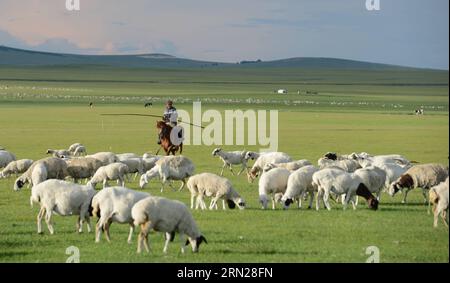 (150217) -- PEKING, 17. Februar 2015 -- Aktenfoto vom 19. Juli 2014 zeigt einen Hirten und seine Ziegen in New Barag Left Banner, Nordchinas Autonome Region Innere Mongolei. Die Chinesen feiern am 19. Februar dieses Jahres das Mondneujahr, das das Jahr der Ziege auf dem chinesischen Tierkreiszeichen markiert. ) (lfj) CHINA-YEAR OF GOAT (CN) QingxChun PUBLICATIONxNOTxINxCHN Peking 17. Februar 2015 Datei Foto aufgenommen AM 19. Juli 2014 zeigt einen Hirten und seine Ziegen in New Barag Linke Banner Nordchina S Innere Mongolei Autonome Region Chinesen wird das Mondneujahr AM 19. Februar dieses Jahres feiern, das Marks das Jahr von Stockfoto