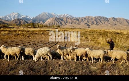 (150217) -- PEKING, 17. Februar 2015 -- Aktenfoto, aufgenommen am 26. Oktober 2014, zeigt einen Bauern, der eine Ziegenherde in der Huazhai-Gemeinde der Stadt Zhangye in der nordwestlichen chinesischen Provinz Gansu grast. Die Chinesen feiern am 19. Februar dieses Jahres das Mondneujahr, das das Jahr der Ziege auf dem chinesischen Tierkreiszeichen markiert. ) (lfj) CHINA-YEAR OF GOAT (CN) WangxJiang PUBLICATIONxNOTxINxCHN Peking 17. Februar 2015 Datei Foto aufgenommen AM OKT 26 2014 zeigt einen Bauern Graz eine Ziegenherde in der Gemeinde Zhangye City Nordwestchina S Gansu Provinz Chinesen wird das Mondneujahr AM 19. Februar dieses JAHRES feiern, das Marks das Jahr o Stockfoto