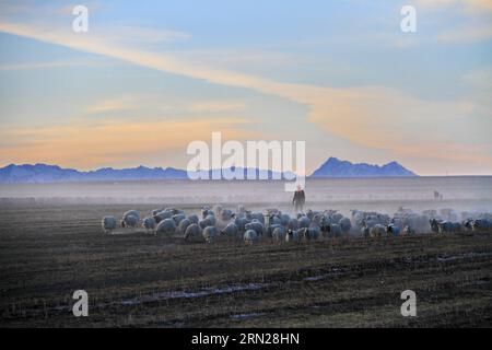 (150217) -- PEKING, 17. Februar 2015 -- Aktenfoto vom 27. November 2013 zeigt eine Ziegenherde in der Pferdefarm Shandan, Provinz Gansu im Nordwesten Chinas. Die Chinesen feiern am 19. Februar dieses Jahres das Mondneujahr, das das Jahr der Ziege auf dem chinesischen Tierkreiszeichen markiert. ) (lfj) CHINA-YEAR OF GOAT (CN) ChenxLi PUBLICATIONxNOTxINxCHN Peking 17. Februar 2015 Datei Foto aufgenommen AM 27 2013. November zeigt eine ZIEGENHERDE auf der Shandan Horse Farm Nordwest-China Provinz S Gansu Chinesen feiern das Mondneujahr AM 19. Februar dieses Jahres, welches das Jahr der ZIEGE markiert ZUM Chinesischen Zodiac China-Jahr der ZIEGE CN P Stockfoto
