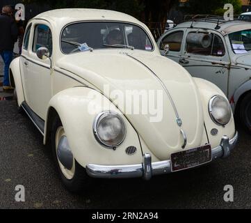 Volkswagen VW Beetle Cream White Vintage Retro Show Shine Day Out, Melbourne Victoria Stockfoto