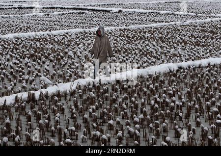 (150302) -- SRINAGAR, 2. März 2015 -- Ein Kashmiri-Junge spaziert durch ein schneebedecktes Feld während Schneefall am Rande von Srinagar, Sommerhauptstadt des von Indien kontrollierten Kaschmirs, 2. März 2015. Der Schneefall in den Oberläufen und Ebenen des von Indien kontrollierten Kaschmirs am Montag beeinträchtigte die Luft, den Schienenverkehr und die geschlossene Nationalstraße Srinagar-Jammu, die einzige Straßenverbindung zwischen Kaschmir und Indien. ) KASHMIR-SRINAGAR-SNOWFALL JavedxDar PUBLICATIONxNOTxINxCHN Srinagar 2. März 2015 ein Kashmiri Junge spaziert durch ein schneebedecktes Feld bei Schneefall AM Rande von Srinagar Summer C Stockfoto