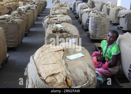 (150304) -- HARARE, 4. März 2015 () -- Eine weibliche Tabakbauerin und ihr Kind inmitten von Blattballen auf den Boka Tobacco Auction Floors in Harare, Simbabwe, 4. März 2015. Die Tabakverkaufssaison 2015 begann am Mittwoch mit Chaos, da die Landwirte bessere Preise für ihre Ernte verlangten. Simbabwe wird in diesem Jahr wahrscheinlich aufgrund ungünstiger Regenfälle einen Rückgang der Tabakproduktion in Virginia um 10 bis 15 Prozent verzeichnen, sagte ein hochrangiger Beamter. () SIMBABWE-HARARE-TOBACCO PRODUCTION-PROTEST Xinhua PUBLICATIONxNOTxINxCHN Harare 4. März 2015 eine weibliche Tabakbauerin und ihr Kind unter Ballen Stockfoto