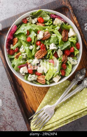 Michigan Salat umfasst typischerweise ein Bett aus Salatgrün, Gorgonzola-Käse, getrockneten Kirschen, Nüssen und eine köstliche Vinaigrette-Dressing auf dem p Stockfoto