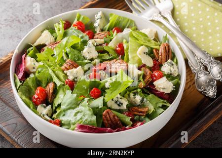 Amerikanischer Michigan-Salat mit getrockneten Kirschen, Blauschimmelkäse und Pekannuss, serviert mit einer Vinaigrette-Dressing auf dem Teller auf dem Tisch. Horizontal Stockfoto