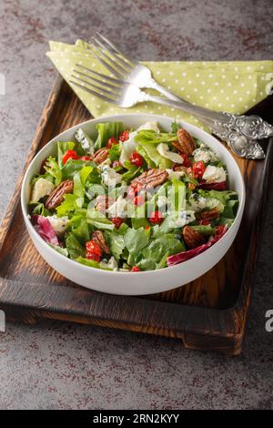 Michigan Salat umfasst typischerweise ein Bett aus Salatgrün, Gorgonzola-Käse, getrockneten Kirschen, Nüssen und eine köstliche Vinaigrette-Dressing auf dem p Stockfoto