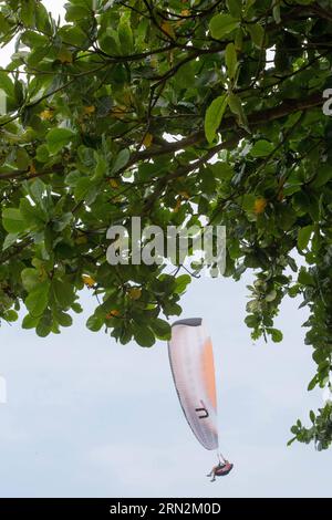 (150314) -- RIO DE JANEIRO, 14. März 2015 -- Ein Gleitschirmflieger in der Luft in Rio de Janeiro, Brasilien, 14. März 2015. Treffen auf einer speziellen Plattform an der Pedra Bonita des Berges Gavea in Rio de Janeiro, Segelbegeisterte, ausgestattet mit Delta-Flügeln oder Gleitschirmausrüstung, springen von der Klippe des Berges Gavea, fliegen in der Luft und landen am Strand von Sao Conrado. ) BRASILIEN-RIO DE JANEIRO-PEDRA BONITA-GLIDING XuxZijian PUBLICATIONxNOTxINxCHN Rio de Janeiro 14. März 2015 ein Gliding-Enthusiast in der Luft in Rio de Janeiro Brasilien 14. März 2015 Treffen BEI einem gewidmet Stockfoto