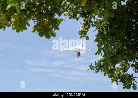 (150315) -- RIO DE JANEIRO, Menschen fliegen mit einem Drachenflieger, in Rio de Janeiro, Brasilien, am 14. März 2015. Es gibt eine Plattform in der Pedra Bonita des Gavea-Berges in Rio de Janeiro, ausgestattet mit Drachenfliegern und Gleitschirmfliegern, wo die Menschen von der Klippe des Gavea-Berges springen und dann am Strand von Sao Conrado landen können. Der Drachenflieger und die Gleitschirmflieger gelten als typische Unterhaltungssportarten in Rio de Janeiro. ) (Da) (SP)BRASILIEN-RIO DE JANEIRO-SPORT-GLEITSCHIRMFLIEGEN XuxZijian PUBLICATIONxNOTxINxCHN Berühmtheiten von Rio de Janeiro Fliegen Sie mit einem Slope Glider in Rio de Janeiro Brasilien Stockfoto