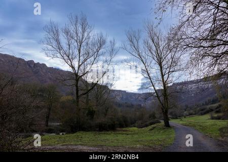 Entdecken Sie die nördliche Schönheit von Vizcaya im Herzen der Natur Stockfoto