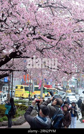 (150320) -- TOKIO, 20. März 2015 -- Besucher fotografieren Kirschblüten in einem Park in Tokio, 20. März 2015. ) JAPAN-TOKIO-KIRSCHBLÜTE MaxPing PUBLICATIONxNOTxINxCHN Tokio 20. März 2015 Besucher machen Fotos von Kirschblüten in einem Park in Tokio 20. März 2015 Japan Tokio Kirschblüte PUBLICATIONxNOTxINxCHN Stockfoto