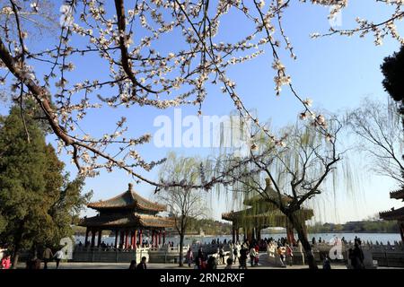 (150323) -- PEKING, 22. März 2015 -- Touristen besuchen Beihai Park in Peking, China, 22. März 2015. Wenn die Temperatur steigt, gehen die Menschen in Peking aus, um Frühlingsblumen zu genießen. ) (Ytt) CHINA-BEIJING-SPRING (CN) LixMingfang PUBLICATIONxNOTxINxCHN Peking 22. März 2015 Touristen besuchen Beihai Park in Peking China 22. März 2015 bei steigender Temperatur Prominente in Peking gehen los, um Frühlingsblumen zu genießen China Beijing Spring CN PUBLICATIONxNOTxINxCHN Stockfoto