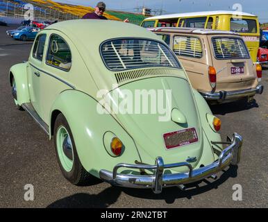 Volkswagen VW Beetle Green Vintage Retro auf Show Shine, Melbourne Victoria Australien Stockfoto