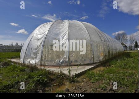 Eine Raumkapsel in Form eines landwirtschaftlichen biodome wird auf einer Farm in Surrey nahe Vancouver, Kanada, am 1. April 2015 gesehen. Der 3.000 Quadratmeter große biodome ist eine geschlossene, geschlossene Umgebung. Die Panels werden mit einer speziellen Kunststofffolie hergestellt, die eine nahezu vollständige Isolierung gegen die umgebende Umgebung bieten kann, um Verschmutzung und Krankheiten zu vermeiden. Pflanzen können ohne Boden wachsen und 10 Mal weniger Wasser verbrauchen als konventionelle Landwirtschaft. Dieser biodome wurde von einem lokalen Technologieunternehmen gebaut, das dem Problem der weltweiten Nahrungsmittelknappheit helfen wollte. ) CANADA-SURREY-BIODOME LiangxSen PUBLICATIONxNOTxINxCHN A Spa Stockfoto