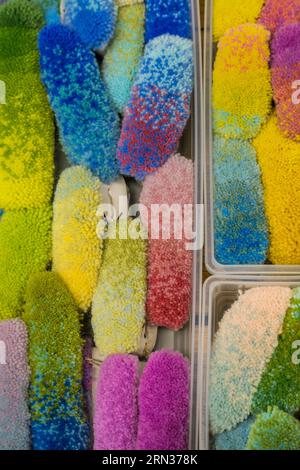 Frankreich, Herault, Lodève, Manufacture de la Savonnerie (Savonnerie-Manufaktur) einzigartiger anbau der Nationalen Teppichfabrik der Savonnerie des Gobelins in Paris, Wollfarbmuster Pompons Stockfoto