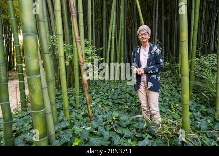 Frankreich, Gard, Generargues Towards Anduze, Bambouseraie en Cévennes (Bamboo Garden), Präsident und Direktor Muriel Nègre Stockfoto