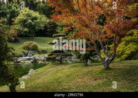 Frankreich, Gard, Generargues in Richtung Anduze, Bambouseraie en Cévennes (Bambusgarten), der japanische Garten Stockfoto