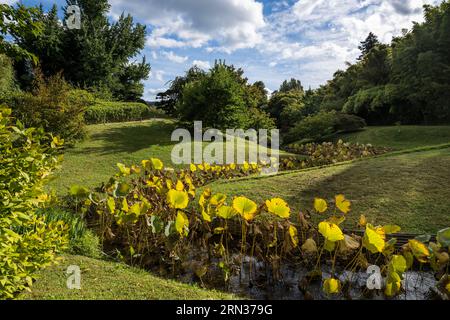 Frankreich, Gard, Generargues in Richtung Anduze, Bambouseraie en Cévennes (Bambusgarten), der japanische Garten Stockfoto