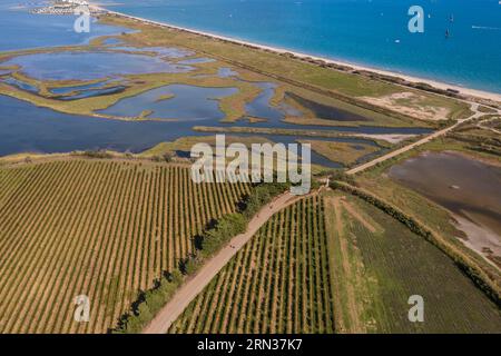 Frankreich, Hérault (34), Villeneuve-lès-Maguelone, vigne sur la partie sud de l'Ile de Maguelone et la plage du Pilou, l'Etang du Prévost et Palavas-Les-Flots en arrière Plan (vue aérienne)/France, Herault, Villeneuve les Maguelone und der Teil der Insel Pilouelone (La Favelone), der südlichen Weinberge von Palavelone, der Insel von La Férienne und der Insel La Férienne Prévost-Teich und Palavas Les Flots im Hintergrund (Luftaufnahme) Stockfoto