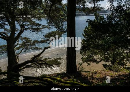 Frankreich, Côtes-d'Armor, Plouguiel, der botanische Garten Kestellic, klassifiziert als bemerkenswerter Garten, mit Blick auf den Fluss Jaudy Stockfoto