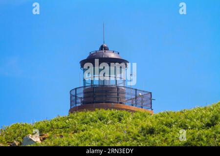 Frankreich, Cotes d'Armor, Perros Guirec, Naturschutzgebiet Sept Iles, Leuchtturm von Île aux Moines (Enez AR Breur oder Jentilez) Stockfoto