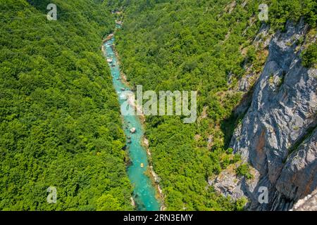 Montenegro, Nordgebirge, Durmitor-Nationalpark, Tara Canyon Stockfoto