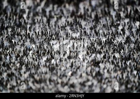 (150418) -- CHIANG RAI, 17. April 2015 -- Foto vom 17. April 2015 zeigt silberne Folien, die die Decke eines Flurs im Wat Rong Khun in Chiang Rai, Thailand, schmücken. Wat Rong Khun, allgemein bekannt als der Weiße Tempel, ist ein buddhistischer Tempel, der vom thailändischen Künstler Chalermchai Kositpipat entworfen wurde und im Besitz ist. Das Wat Rong Khun ist ein beliebtes Touristenziel in Chiang Rai und verfügt über weiße architektonische Strukturen, die mit silbrig reflektierenden Folien verziert sind, sowie dekorative zeitgenössische Gemälde. )(azp) THAILAND-CHIANG RAI-WAT RONG KHUN-WHITE TEMPLE LixMangmang PUBLICATIONxNOTxINxCHN Chiang Rai April Stockfoto