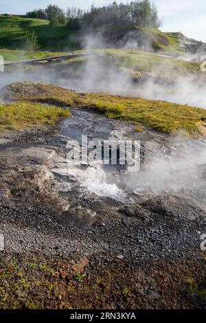 Utu Geysir, eine Geysir-Warmwasserquelle der Secret Lagoon in Fludir, Island Stockfoto