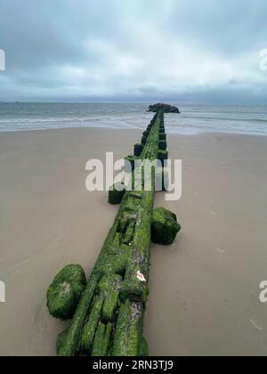 Einfallender Sturm bei Ebbe an der Atlantikküste in Brighton Beach in Brooklyn, New York Stockfoto