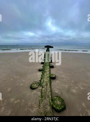 Einfallender Sturm bei Ebbe an der Atlantikküste in Brighton Beach in Brooklyn, New York Stockfoto