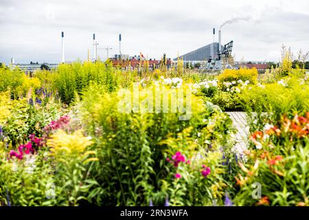 Copenhill Ski Slope und Amager Bakke Waste to Energy Plant Kopenhagen Dänemark / KOPENHAGEN, Dänemark – Ein Dachgarten mit bunten Blumen überblickt die Amager Bakke Müllverbrennungsanlage, auch bekannt als Copenhill, in Kopenhagen. Die Anlage verfügt über ein markantes schräges Dach, das als künstliche Skipiste und Erholungsgebiet dient. Im Hintergrund stoßen industrielle Schornsteine Dampf aus, und Baukräne weisen auf eine kontinuierliche Entwicklung hin. Die städtische Landschaft wird von traditionellen roten Ziegeldächern von Wohngebäuden durchbrochen. Stockfoto