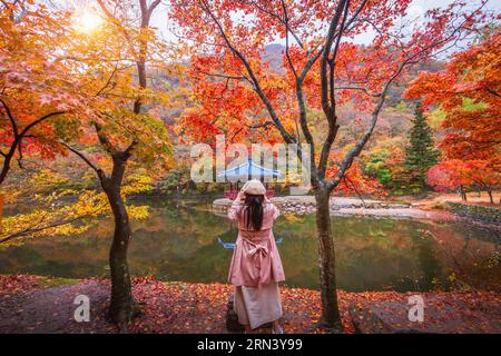 Touristen machen Fotos im bunten Herbst mit wunderschönen Blättern im Baekyangsa Tempel im Naejangsan Nationalpark, Südkorea. Stockfoto