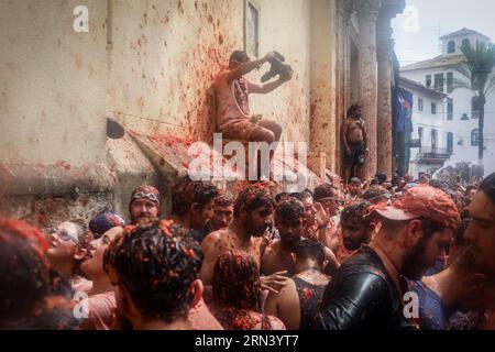Valencia, Spanien. 30. August 2023. An der Spitze versucht ein Teilnehmer der tomatina, sich von den anderen Touristen zu isolieren, getränkt mit zerstoßener Tomate. Ein weiteres Jahr, wie jeden letzten Mittwoch des Monats August, wurde La Tomatina in der valencianischen Stadt Buñol in Spanien gefeiert. Ein fest, das seit mehr als 50 Jahren stattfindet und an eine Meinungsverschiedenheit zwischen den Landwirten erinnert, die mit einem Tomatenkampf endete und das traditionelle Festival begründete. Quelle: SOPA Images Limited/Alamy Live News Stockfoto