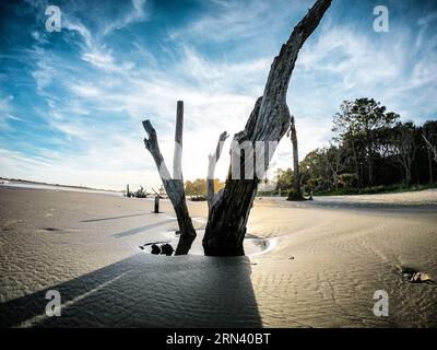 CAPERS ISLAND, South Carolina – Ein ruhiger Blick auf die unberührte Küste von Capers Island, einer der wenigen unerschlossenen Barriereinseln entlang der Küste von South Carolina. Die Insel ist für ihre natürliche Schönheit bekannt und bietet Besuchern einen seltenen Einblick in die unberührte Küstenlandschaft der Region. Stockfoto