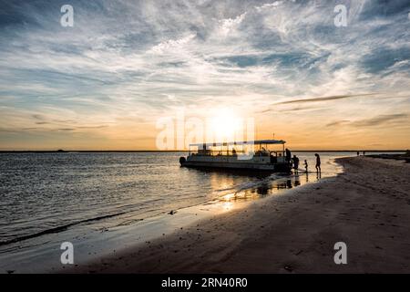 CAPERS ISLAND, South Carolina – Ein ruhiger Blick auf die unberührte Küste von Capers Island, einer der wenigen unerschlossenen Barriereinseln entlang der Küste von South Carolina. Die Insel ist für ihre natürliche Schönheit bekannt und bietet Besuchern einen seltenen Einblick in die unberührte Küstenlandschaft der Region. Stockfoto