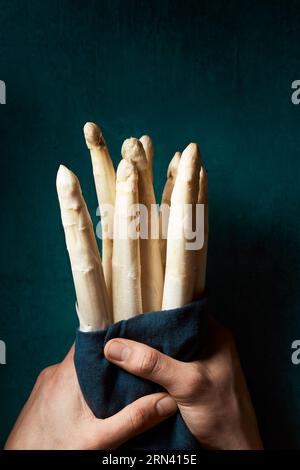 Frischer roher weißer Spargel, umwickelt in ein blaues Tuch, das in den Händen einer Frau gehalten wird. Weiße Apergen aus dem niederländischen Bio-Bauernhof. Vertikales Bild der Draufsicht. Stockfoto