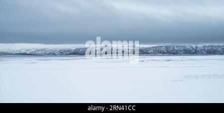 Tiefwinterbedingungen in Abisko, Nordschweden Stockfoto