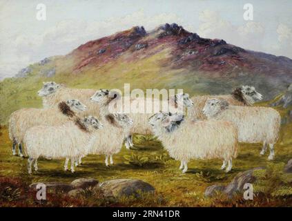 Neun Schafe in einer Landschaft zwischen 1861 und 1914 von William Taylor Longmire Stockfoto