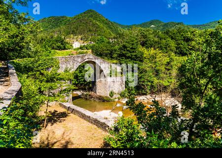 Die mittelalterliche Brücke Ponte della Brusia über den Fluss Fiume Montone bei Bocconi in Emilia-Romagna, Italien Stockfoto