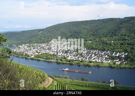 Frachtschiff im Moseltal im Sommer Stockfoto