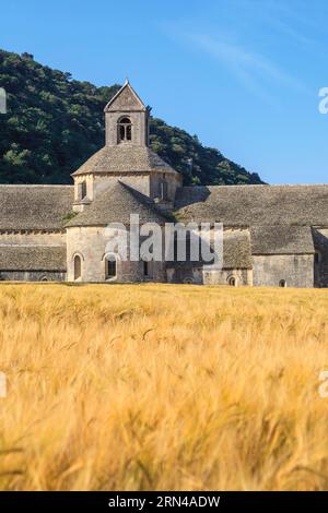 Abtei Notre-Dame de Senanque, Kloster Senanque, in der Nähe von Gordes, vor einem Getreidefeld, Provence, Provence-Alpes-Cote dAzur, Südfrankreich Stockfoto