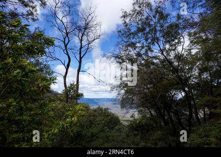 Sydney, Australien. August 2023. Sydney, Australien, 18. August 2023: Allgemeiner Blick auf die Blue Mountains im Blue-Mountains-Nationalpark in Sydney, New South Wales, Australien. (Daniela Porcelli/SPP) Credit: SPP Sport Press Photo. Alamy Live News Stockfoto