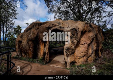 Sydney, Australien. August 2023. Sydney, Australien, 18. August 2023: Im Blue-Mountains-Nationalpark in Sydney, New South Wales, Australien. (Daniela Porcelli/SPP) Credit: SPP Sport Press Photo. Alamy Live News Stockfoto