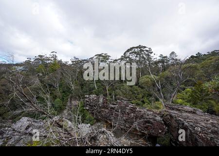 Sydney, Australien. August 2023. Sydney, Australien, 18. August 2023: Allgemeiner Blick auf die Blue Mountains im Blue-Mountains-Nationalpark in Sydney, New South Wales, Australien. (Daniela Porcelli/SPP) Credit: SPP Sport Press Photo. Alamy Live News Stockfoto