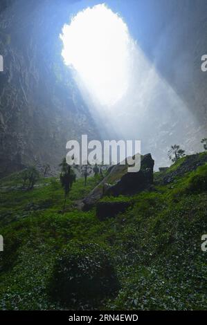 (150519) -- ENSHI, 19. Mai 2015 -- Sonnenlicht berührt die Pflanzen in einem Senkenloch im gebirgigen Xuanen County in der zentralchinesischen Provinz Hubei, 19. Mai 2015. Aufgrund der lokalen Karstlandschaft und des feuchten Klimas ist ein mehr als 290 Meter tiefer Sinkloch in Xuanen Heimat für verschiedene Pflanzen und Tiere geworden. Ein vollständiges und originelles Ökosystem wird im Loch gehalten, da es für Menschen schwer ist, reinzukommen. ) (zhs) CHINA-HUBEI-SINKHOLE-LANDSCHAFT (CN) SongxWen PUBLICATIONxNOTxINxCHN 150519 Enshi 19. Mai 2015 Sonnenlicht berührt die Pflanzen in einem Sinkhole im bergigen Xuanen County in Zentralchina S Hubei Stockfoto