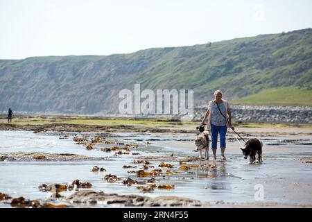 Scarborough im Norden Yorkshires, wo das Meer unsicher ist, ist die Wasserqualität in Scarborough aufgrund der Auswirkungen von Abwässern, die in die s eingeleitet werden, schlecht Stockfoto