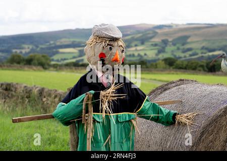 Vogelscheuche auf einem Bauernfeld fröhliches lächelndes Gesicht mit flacher Kappe und grünen Overalls Stockfoto