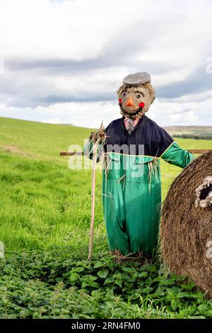 Vogelscheuche auf einem Bauernfeld fröhliches lächelndes Gesicht mit flacher Kappe und grünen Overalls Stockfoto